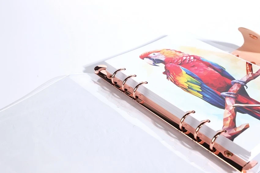 product-850-567